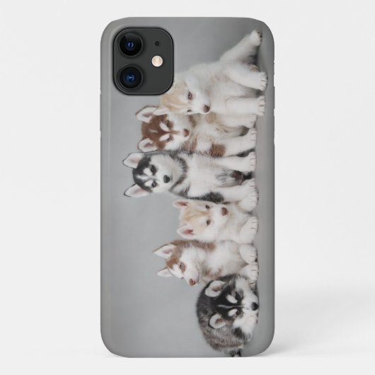 Husky-Welpen Case-Mate iPhone Hülle (Rückseite)