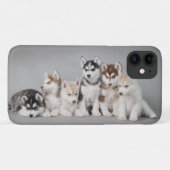 Husky-Welpen Case-Mate iPhone Hülle (Rückseite (Horizontal))