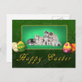Husky Welpen Ostern Feiertagspostkarte (Vorne/Hinten)