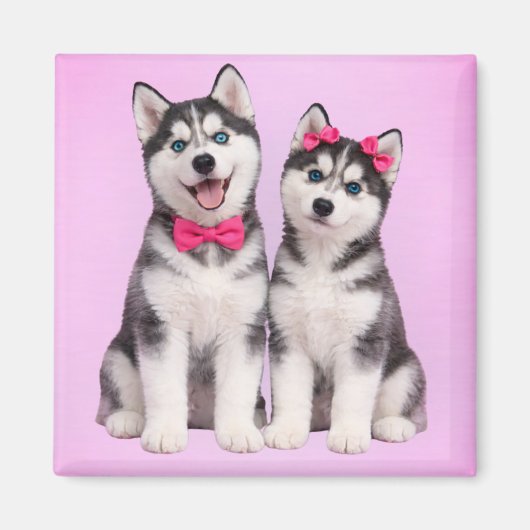 Husky-Welpenliebe-Valentinsmagnet Magnet (Vorne)