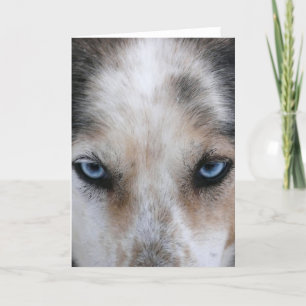 Huskyblau Augen Grußkarte Karte