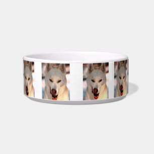 Huskynahrung/Wasserschüssel Napf