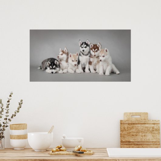 Huskys Poster (Küche)