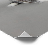 Huskys Poster (Ecke)