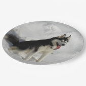 Huskysitzen Pappteller (Schrägansicht)