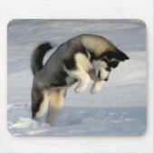 Huskywelpe, der im Schnee spielt Mousepad (Vorne)