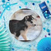 Huskywelpe Pappteller (Party)