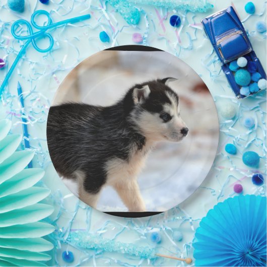 Huskywelpe Pappteller (Party)