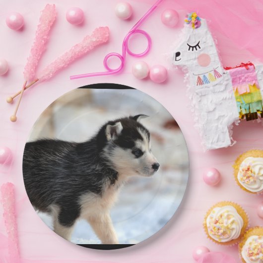 Huskywelpe Pappteller (Party)
