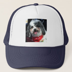 Hut, Frauen, Männer, Hund, Foto K-Cee Truckerkappe