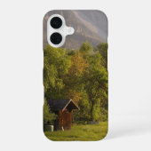 Hut Iphone 16 Case iPhone 16 Hülle (Rückseite)