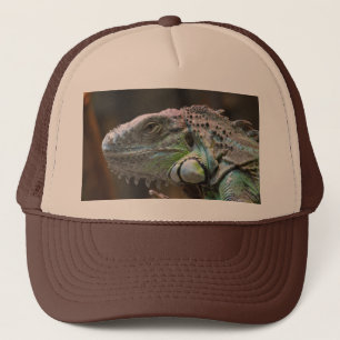 Hut mit Kopf der farbigen Iguana-Eidechse Truckerkappe