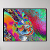 Hutch II Poster (Vorne)