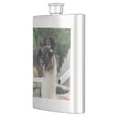 Hüte dich vor dem Lama! Flachmann (Links)