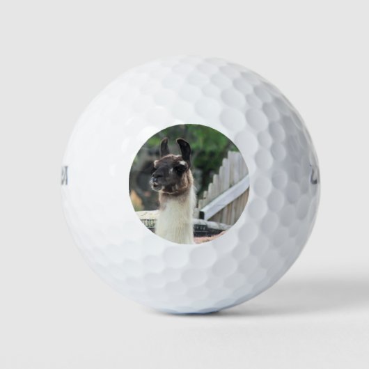 Hüte dich vor dem Lama! Golfball (Vorderseite)