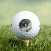Hüte dich vor dem Lama! Golfball (Insitu T-Shirt)