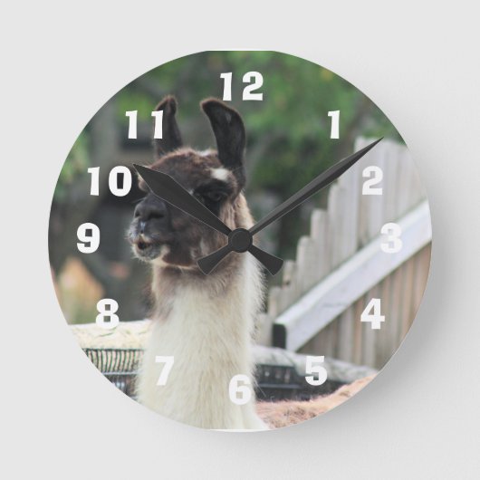 Hüte dich vor dem Lama! Runde Wanduhr (Vorderseite)