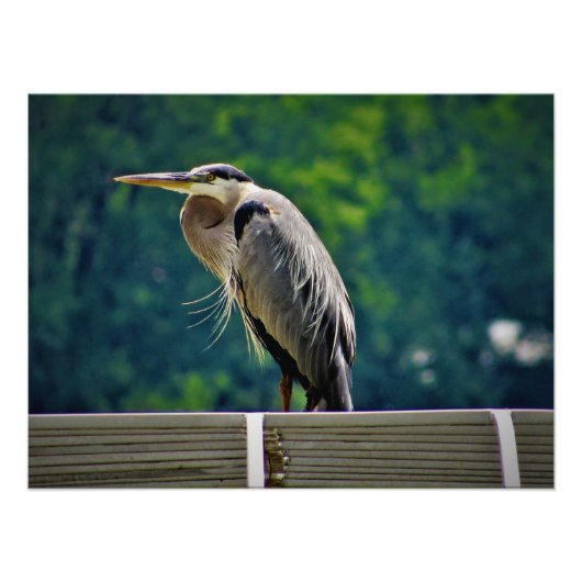 "Hüter der Chancen" Fotodruck (Vorne)