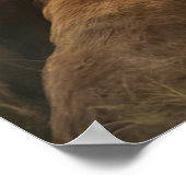 Hüter der Hunde Poster (Ecke)