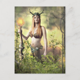Hüter des Waldes - Postkarte