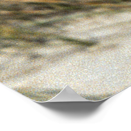 Hüterin der Insel Tybee Poster (Ecke)