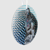 Hüterin des digitalen Reiches Ornament (Vorderseite)