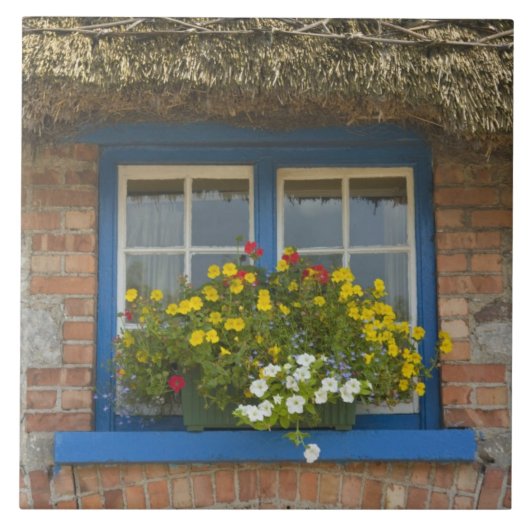 Hütte, Adare, Landkreis Limerick, Fliese (Vorderseite)