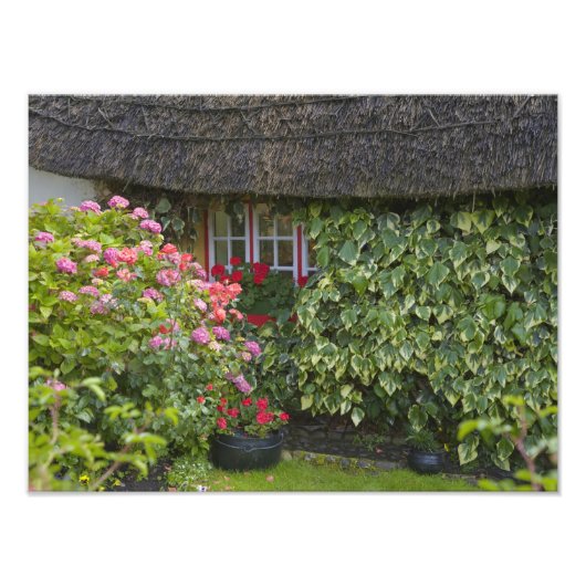 Hütte, Adare, Landkreis Limerick, Fotodruck (Vorne)
