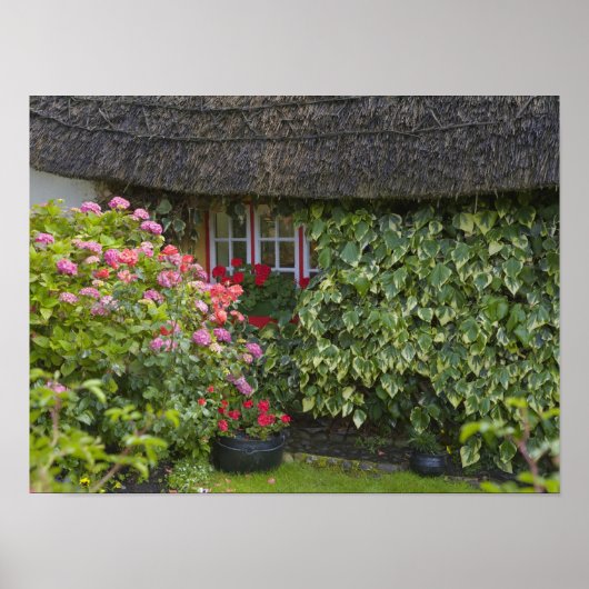 Hütte, Adare, Landkreis Limerick, Poster (Vorne)
