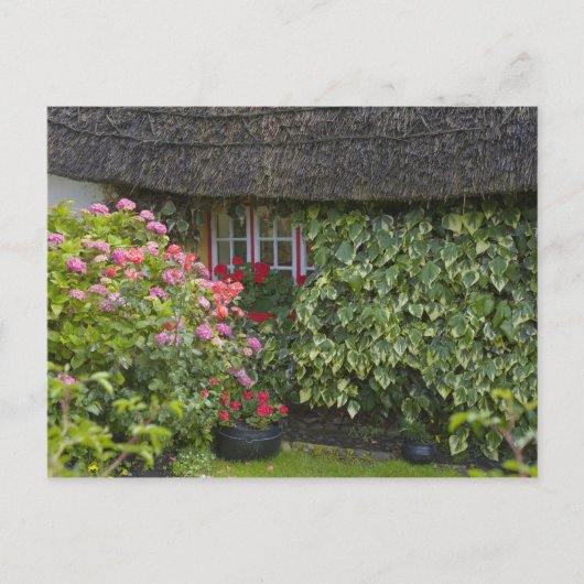 Hütte, Adare, Landkreis Limerick, Postkarte (Vorderseite)