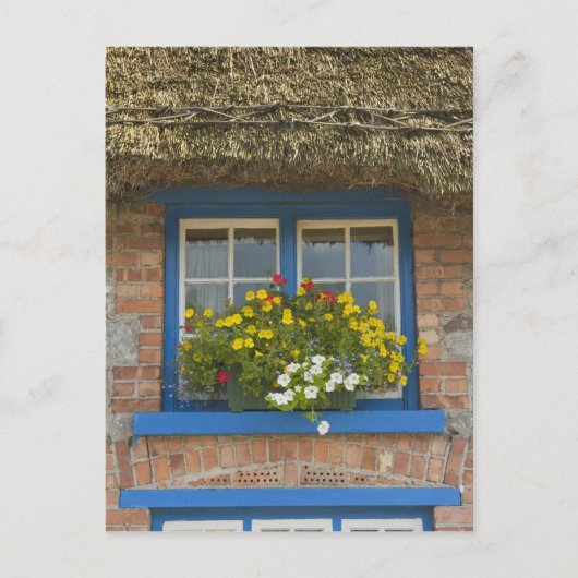 Hütte, Adare, Landkreis Limerick, Postkarte (Vorderseite)