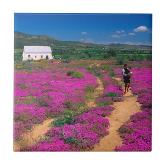 Hütte, Blume und Mädchen, in der Nähe von Kamieskr Fliese (Vorderseite)