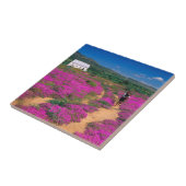 Hütte, Blume und Mädchen, in der Nähe von Kamieskr Fliese (Seite)