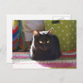 "Hütte Comfort" Katalogfotografie Postkarte (Vorne/Hinten)