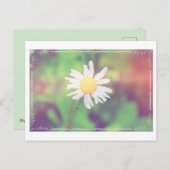 Hütte Daisy Postcross Postcard Postkarte (Vorne/Hinten)