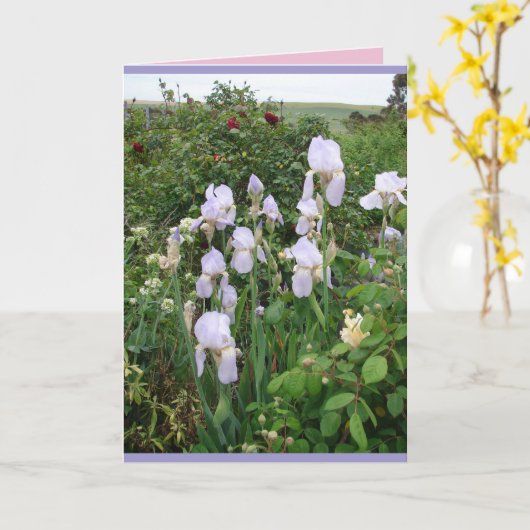 Hütte Garden Lila Iris Irish Blumenkarte Karte (Gelbe Blume)