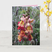 Hütte Garden Strip Red Snapdragon Blumenkarte Karte (Gelbe Blume)