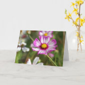 Hütte Garten, Rosalinde Karte (Gelbe Blume)