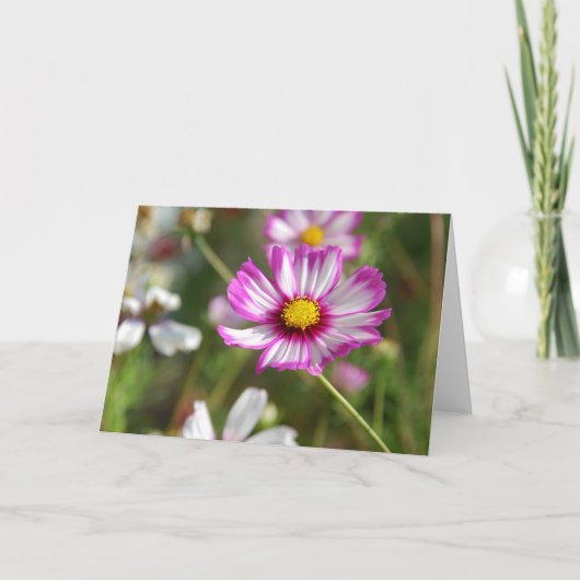 Hütte Garten, Rosalinde Karte (Vorderseite)