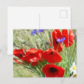 Hütte Garten, Rosalinde Postkarte (Vorne/Hinten)