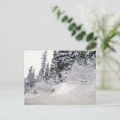 Hütte mit schneebedeckten Kiefern Postkarte (Stehend Vorderseite)