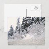 Hütte mit schneebedeckten Kiefern Postkarte (Vorne/Hinten)