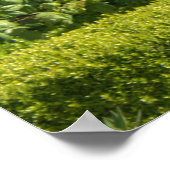 Hütte Poster (Ecke)