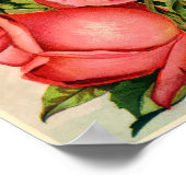 Hütte Rose Garten Drobisch Werbung Poster (Ecke)