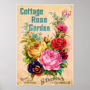 Hütte Rose Garten Vintage Werbung Poster