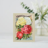 Hütte Rose Gartenwerbung Postkarte (Stehend Vorderseite)