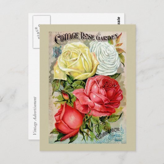 Hütte Rose Gartenwerbung Postkarte (Vorne/Hinten)