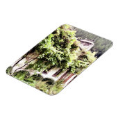 Hütte WISTERIEN Magnet (Linke Seite)