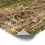 Hütten auf der Insel Jura in Schottland Poster (Ecke)