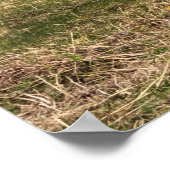 Hütten auf der Insel Jura in Schottland Poster (Ecke)